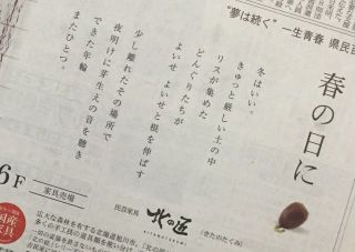 どんぐり成長中