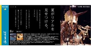 ご先祖様はミフネリュウ？