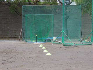 チームのアナリスト