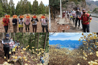 西丹沢ミツバ岳