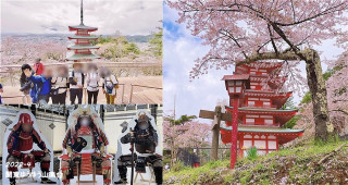 山梨・新倉山　桜の名所へ