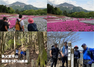 秩父武甲山と羊山公園芝桜