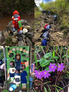 丹沢 塔ノ岳1491m