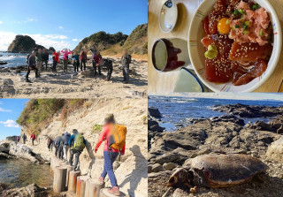 三浦・岩礁のみち。マグロ丼と海水温泉もかながわ鉄道割引と京急みさきまぐろきっぷでお得に