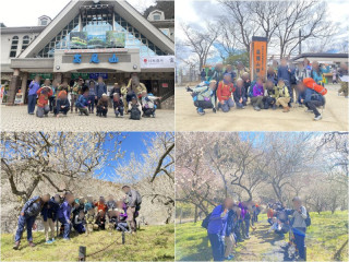 高尾観梅ハイキング