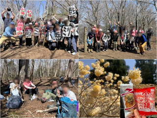 西丹沢ミツバ岳ミツマタ満開