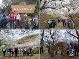 弘法山　桜満開