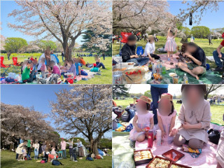 立川昭和記念公園　食材みんなで持寄り　お花見家族企画