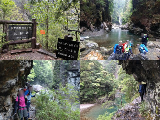 大杉谷と大台ケ原・日出ヶ岳　断崖絶壁の大蛇ぐら、桃ノ木小屋泊　1泊2日
