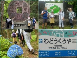 秩父・蓑山 みのやま美ノ山587m アジサイハイキング