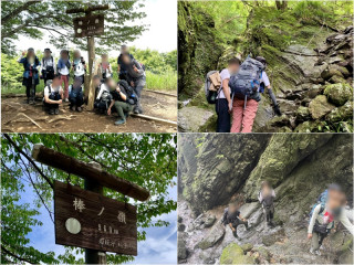 棒ノ折山（棒ノ嶺）969ｍ、さわらびの湯