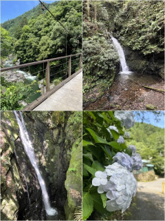 多摩川渓谷と白丸ダム魚道見学