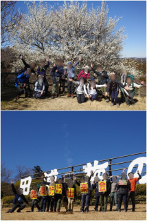 三浦半島・三浦アルプス縦走と早春の田浦梅林