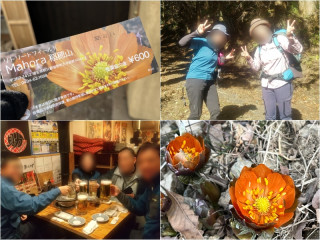 秩父破風山(627m)岩峰登山とオレンジの福寿草〝秩父紅”鑑賞