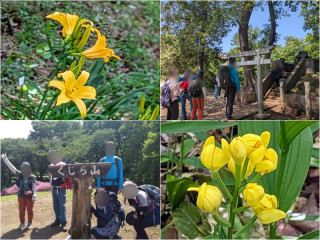 府中浅間山ムサシノキスゲとジェラート探訪