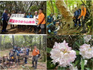 伊豆天城山縦走　修善寺前泊、百名山・万三郎岳