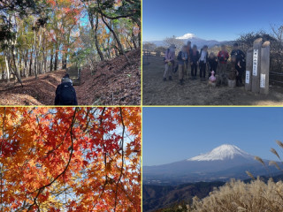 大野山723m サークル初級