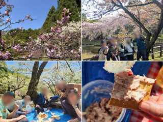 お花見企画　高松山と最明寺史跡公園