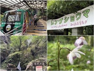 御岳ロックガーデン滝巡りとレンゲショウマ 涼しく歩ける夏の日帰り