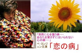 恋の病　2005年7月