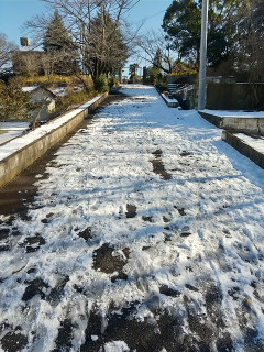 雪のため年明けの練習は明日です