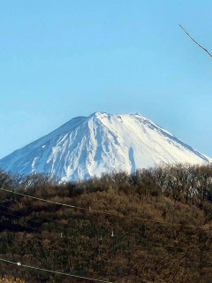 山梨遠征