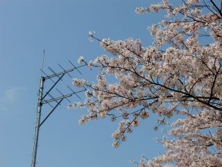 430MHzSSBｽｹｼﾞｭｰﾙ(第218回)・FMﾛｰﾙｺｰﾙ(第278回)実施報告