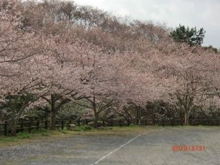 430MHzSSBｽｹｼﾞｭｰﾙ(第270回)・FMﾛｰﾙｺｰﾙ(第329回)実施報告