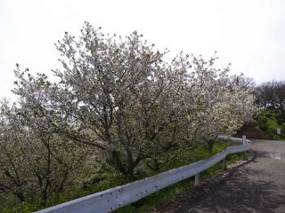 430MHzSSBｽｹｼﾞｭｰﾙ(第322回)・FMﾛｰﾙｺｰﾙ(第381回)実施報告