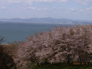 430MHzSSBｽｹｼﾞｭｰﾙ(第323回)・FMﾛｰﾙｺｰﾙ(第382回)実施報告