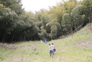 たけのこぐみ　たけのこ掘り