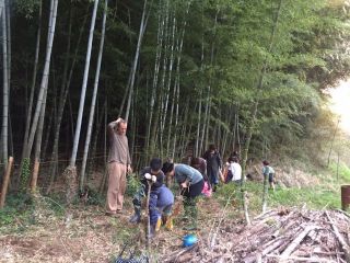 体育館活動（たけのこほり）