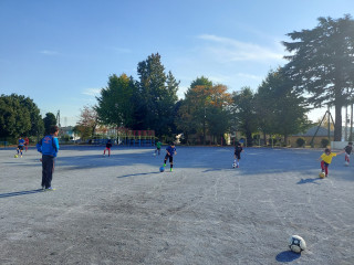 練習報告⚽2022年11月19日岡津小