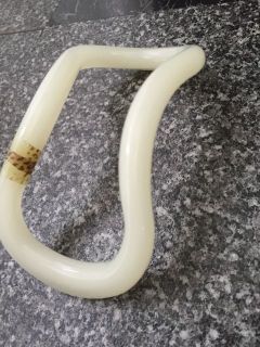 アセノフィットネス体験会ウェーブストレッチ