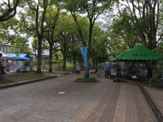 あびこふくしまつり