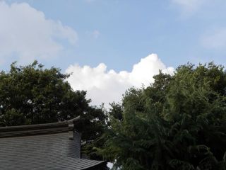 高浜神社夏祭り（子ども神輿巡行）に参加しました