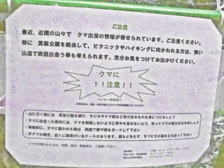 クマ注意！