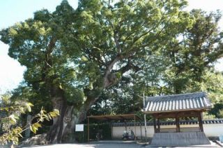 粉河寺案内№１５