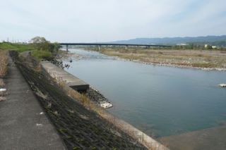 紀の川ハス釣りポイント案内