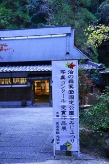 明治の森箕面国定公園もみじまつり開催中