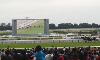 動物園へ行ってきました