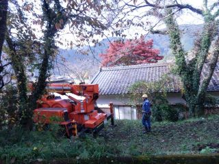 さらば　我が家の桜