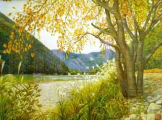 トリミング&補正