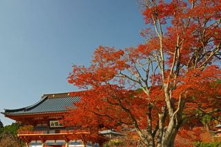 箕面勝尾寺散策報告