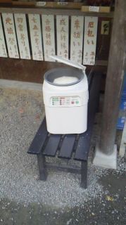 餅つきのお手伝い。