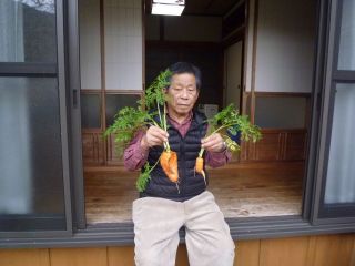 我が家のニンジン