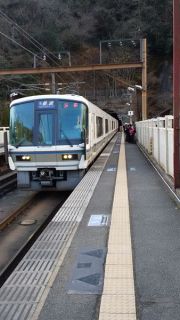 酉年に鶏鍋つっつきに行って来ました。