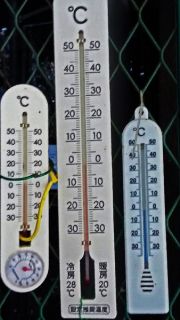 今冬一番の寒さ