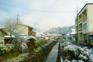 今朝は粉河も雪景色