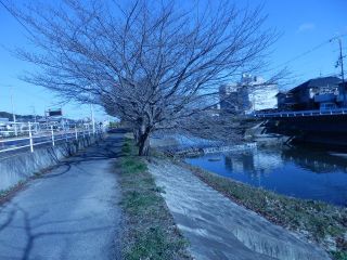 待ち人来たらず